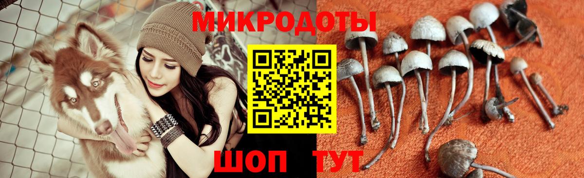 Псилоцибиновые грибы MAGIC MUSHROOMS  Вход с VPN  Новокуйбышевск 